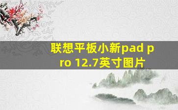 联想平板小新pad pro 12.7英寸图片